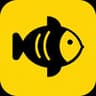 MiroFish