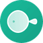 FeelFish