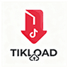 TikTok Video Downloader