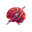 Viewer Lens
